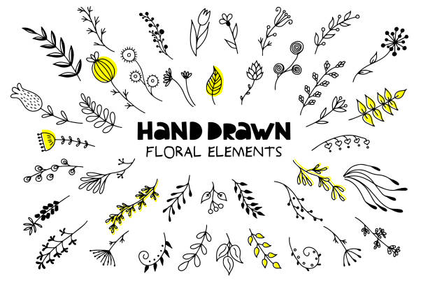 Big set of hand drawn floral elements on a white background. Big set of hand drawn floral elements on a white background. Doodle style. Vector illustration. drawing of spring free stock illustrations