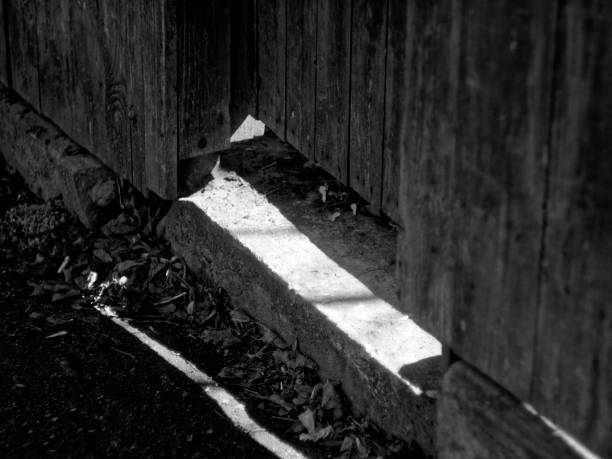 istock bright sunlight through the fence in spring 1152418346