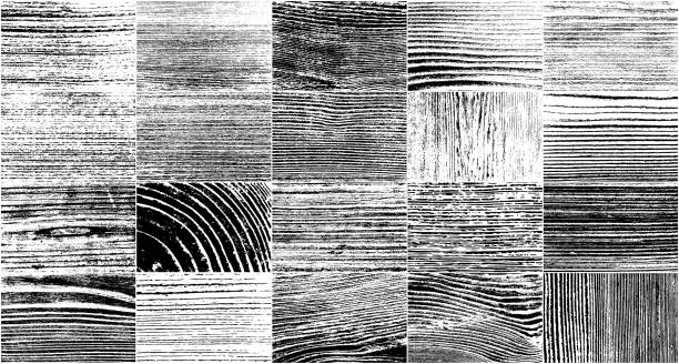 Realistic Wooden Texture Realistic Wooden Texture. Vector Set Grunge Design Elements. Black And White Noise. Illustration, Eps 10 wood textures stock illustrations