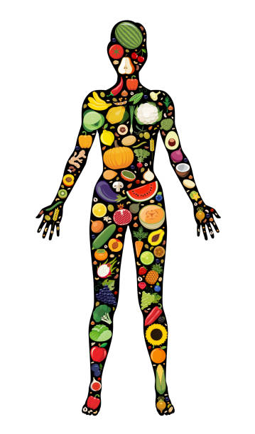 istock Set of fruit and vegetable icons forming woman`s body shape. 1152418721