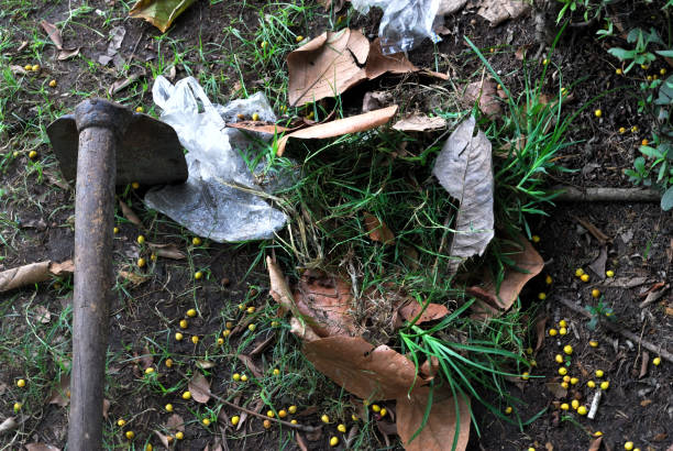 istock Hoe placed in the garden 1152420012