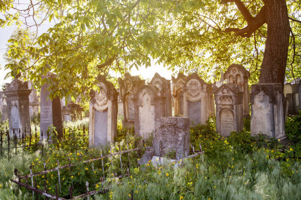 istock Jewish cemetery, graves near a tree 1152424629