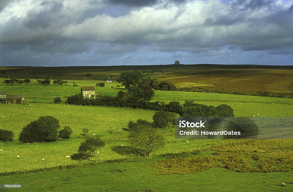 Yorkshire moors et vert des champs - Photo de Angleterre libre de droits