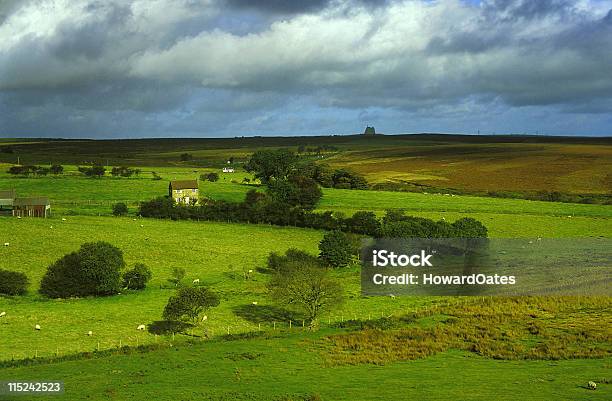 Yorkshire Moors E Verdi Campi - Fotografie stock e altre immagini di Autunno - Autunno, Brughiera, Casetta di campagna