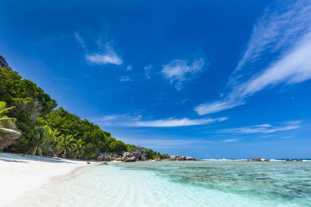 istock Tropical White Beach, La Digue, Seychelles 1152430729