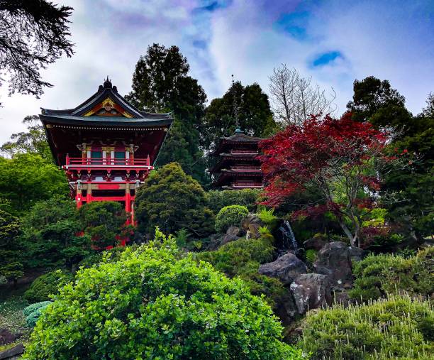 парк золотые ворота - сан-франциско - japanese tea garden стоковые фото и изображения