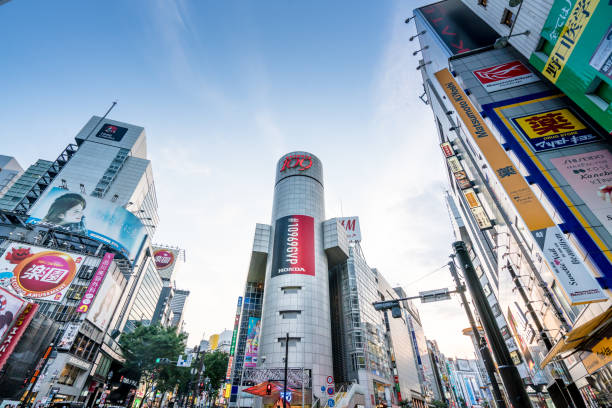 istock Tokyo Shinjuko District, Japan 1152434031