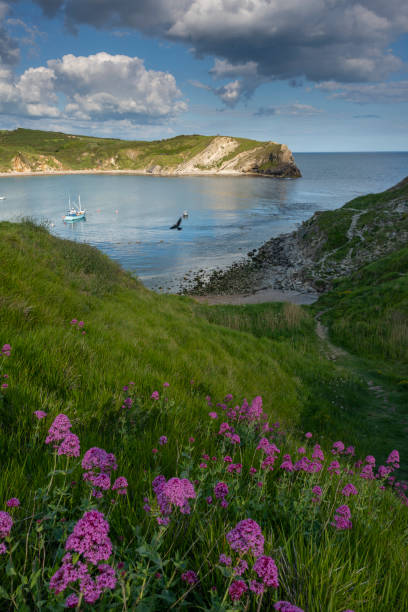 istock Lulworth Cove Jurassic Coast, Dorset 1152434845