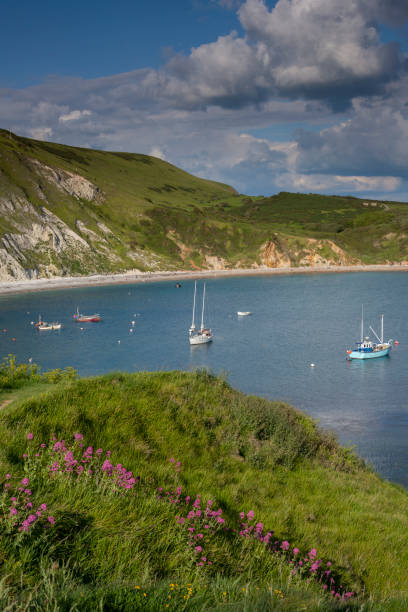 istock Lulworth Cove Jurassic Coast, Dorset 1152434847