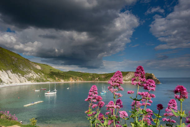 istock Lulworth Cove Jurassic Coast, Dorset 1152434916