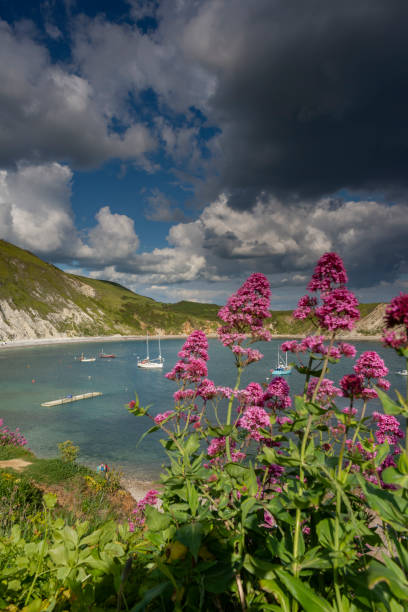 istock Lulworth Cove Jurassic Coast, Dorset 1152434918