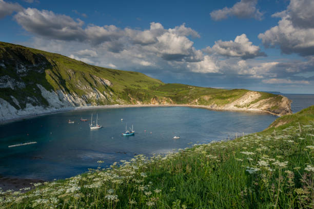 istock Lulworth Cove Jurassic Coast Dorset from clifftop 1152434984