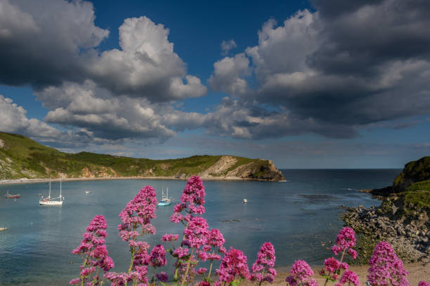 istock Lulworth Cove Jurassic Coast, Dorset 1152435043