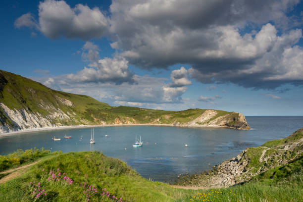 istock Lulworth Cove Jurassic Coast Dorset from clifftop 1152435138