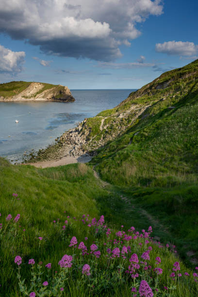 istock Lulworth Cove Jurassic Coast, Dorset 1152435238