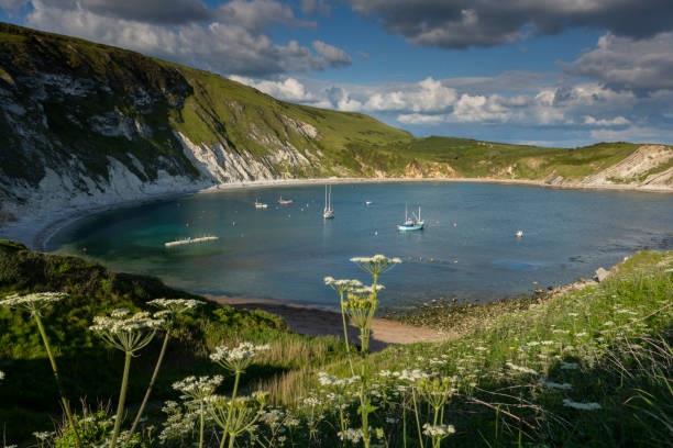 istock Lulworth Cove Jurassic Coast Dorset from clifftop 1152435239