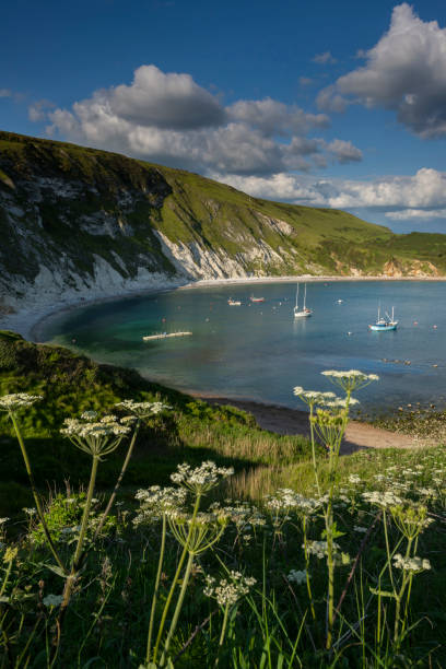 istock Lulworth Cove Jurassic Coast Dorset from clifftop 1152435242