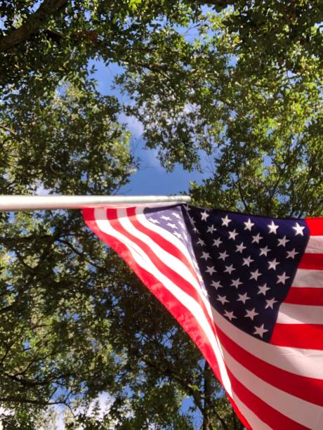 istock American flag with oak trees and blue sky above 1152435274