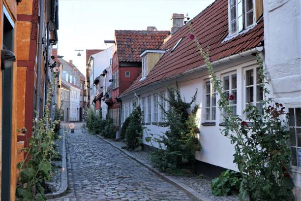istock An empty cobbled street in Helsingor, Denmark. 1152435289