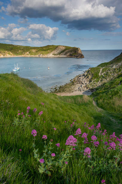 istock Lulworth Cove Jurassic Coast, Dorset 1152435364