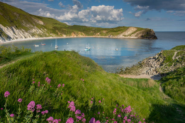 Lulworth Cove Jurassic Coast, Dorset