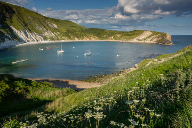 istock Lulworth Cove Jurassic Coast Dorset from clifftop 1152436011