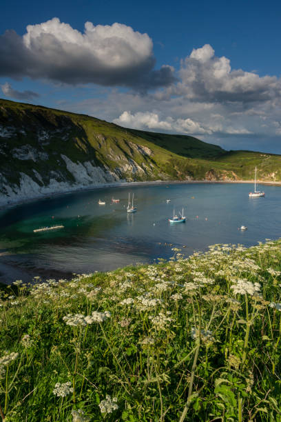 istock Lulworth Cove Jurassic Coast Dorset from clifftop 1152436015