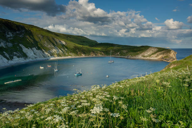 istock Lulworth Cove Jurassic Coast Dorset from clifftop 1152436096