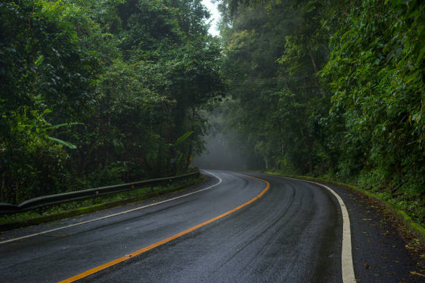 istock Asphalt road through the forest in rainy season 1152436147