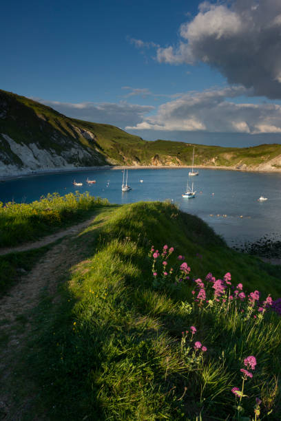 istock Lulworth Cove Dorset England 1152436442
