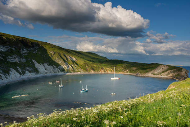 istock Lulworth Cove Jurassic Coast Dorset from clifftop 1152436443