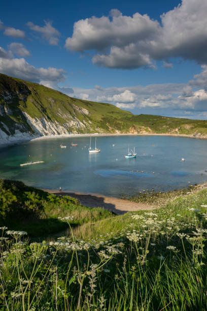 istock Lulworth Cove Jurassic Coast Dorset from clifftop 1152436526