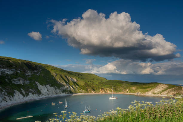 istock Lulworth Cove Jurassic Coast Dorset from clifftop 1152436704