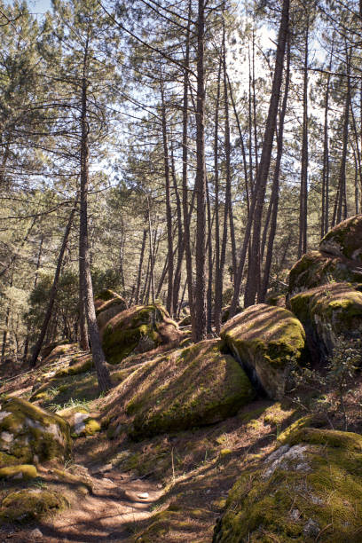 istock path on the side of a mountain 1152436705