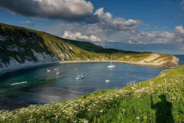 istock Lulworth Cove Jurassic Coast Dorset from clifftop 1152437023