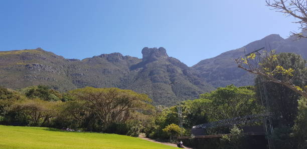 istock Kirstenbosch Gardens Cape Town 1152438231