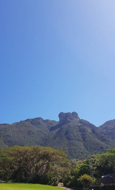 istock Kirstenbosch Gardens Cape Town 1152438322