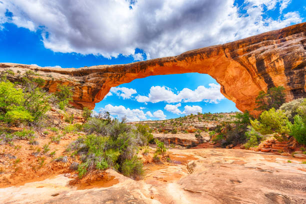 ponte owachomo - natural bridge state park foto e immagini stock