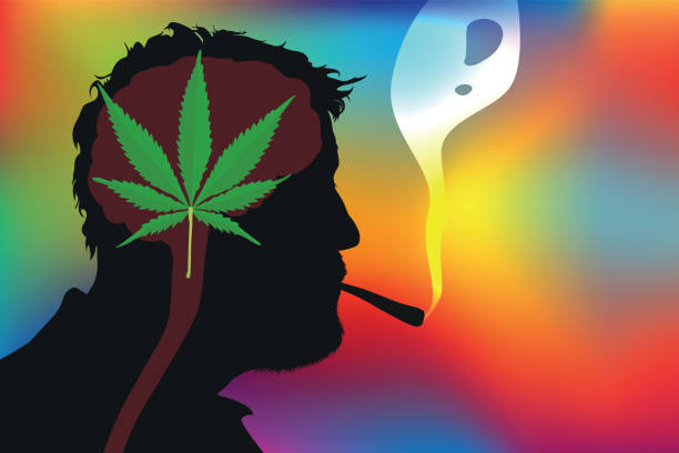 Symbol of the cannabis leaf to illustrate drug addiction and its hallucinogenic effects. Concept of drug use and its consequences on public health with a man in profile, smoking a cannabis joint on a psychedelic background. drug cartel stock illustrations