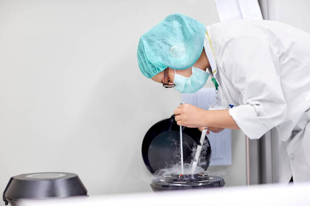 Scientist handling samples for cryopreservation Side view of scientist handling oocytes and sperm for cryopreservation to be stored in liquid nitrogen. frozen eggs stock pictures, royalty-free photos & images
