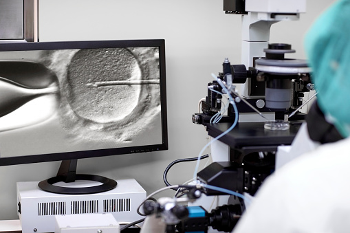 Cropped image of screen showing researcher looking in a microscope fertilising an egg. Intracytoplasmic sperm injection.