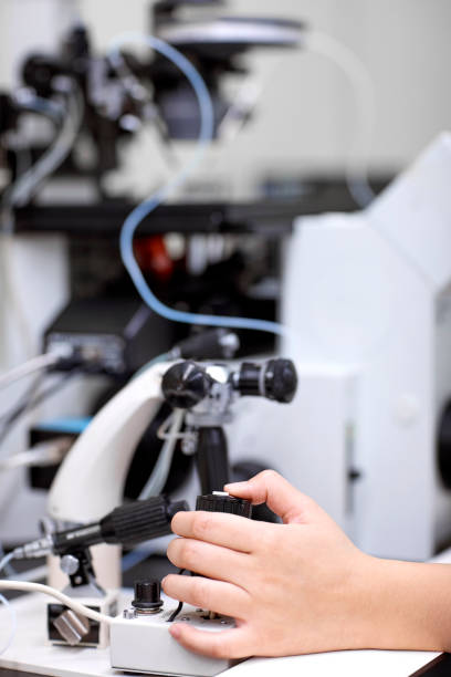 istock Hand of laboratory technician focusing with microscope 1152441065