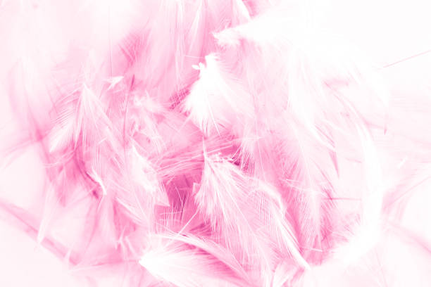 istock Beautiful abstract colorful white and pink light feathers wall pattern textures background and wallpaper art 1152441607