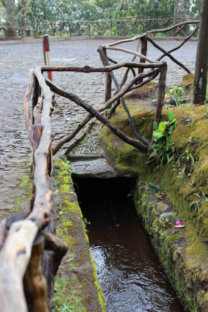 istock Levada Calheido Green Levada, Madeira, Portugal 1152441717
