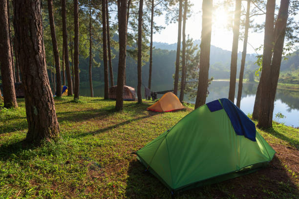 istock Camping and tent in beautiful forest 1152442038