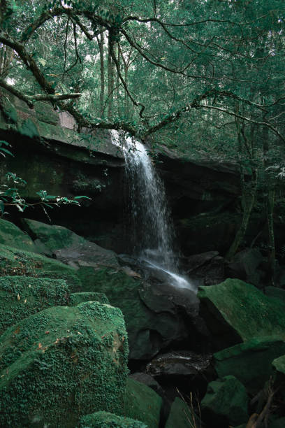 istock Waterfall and fresh forest in summer season. 1152443359