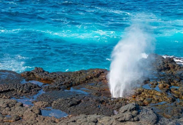 istock Blowhole on Espanola Island, Galapagos 1152444305