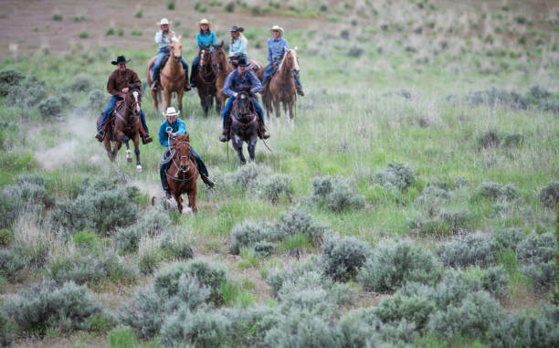 istock Ranchers galloping on horses in Utah, USA 1152444729