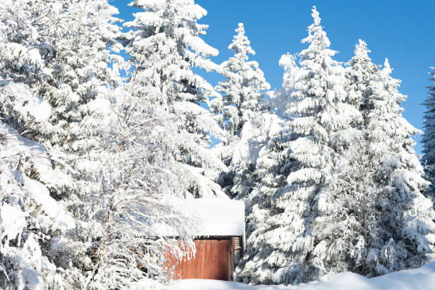 istock Farm building in snow-covered forest in winter 1152446015
