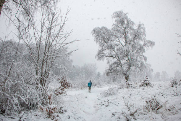 istock a wanderer is hiking through Snowstorm in wintry landschaft 1152446970
